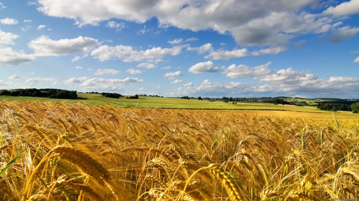 Construyendo puentes con el agro