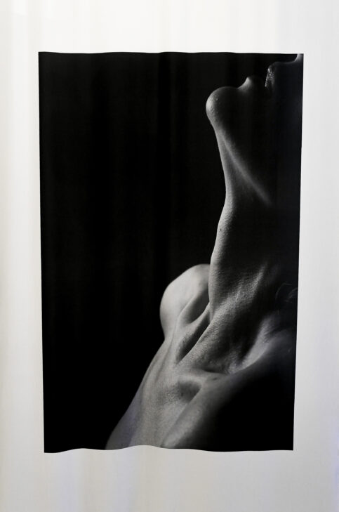 Fotografía y escultura