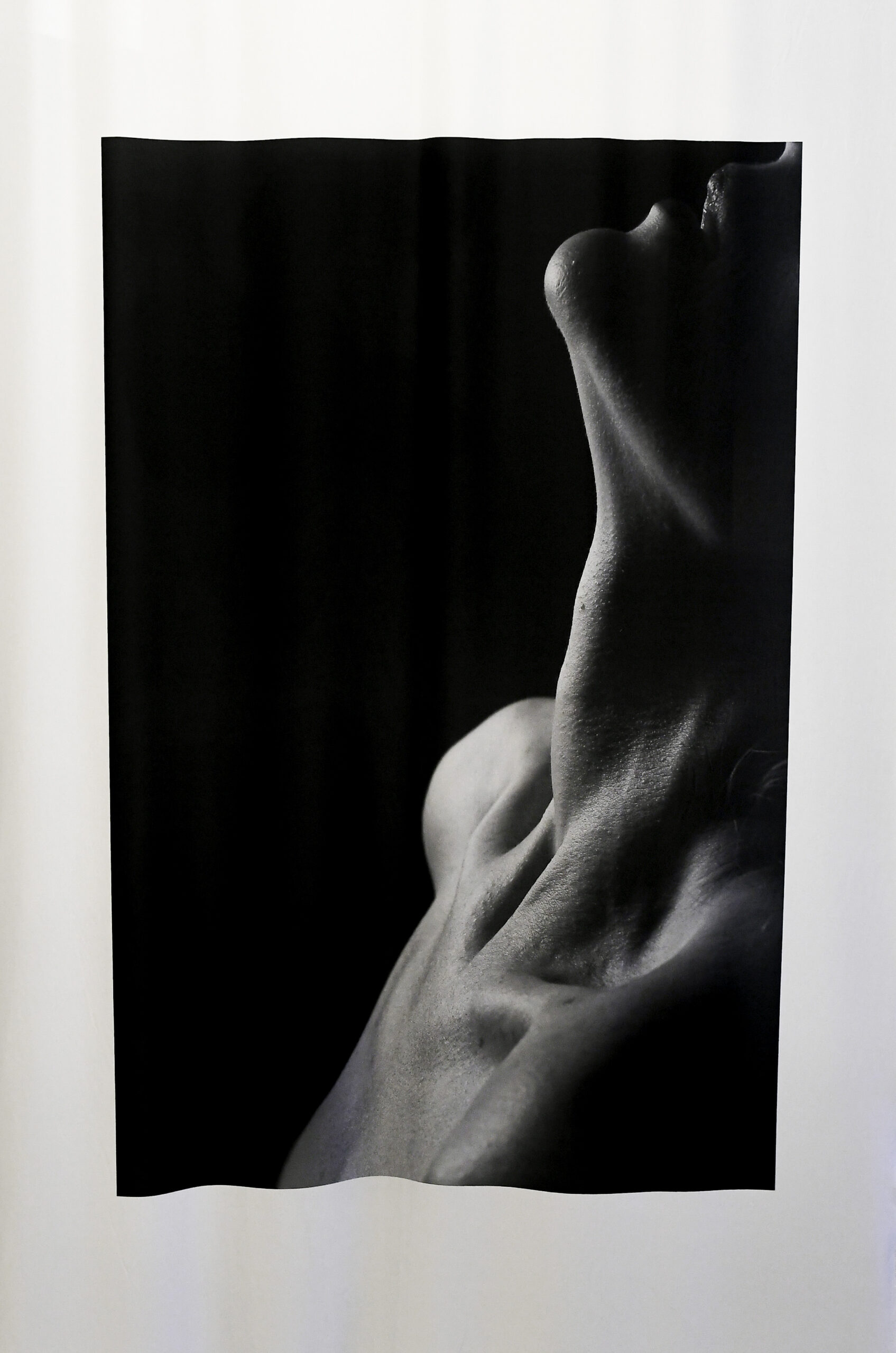 Fotografía y escultura