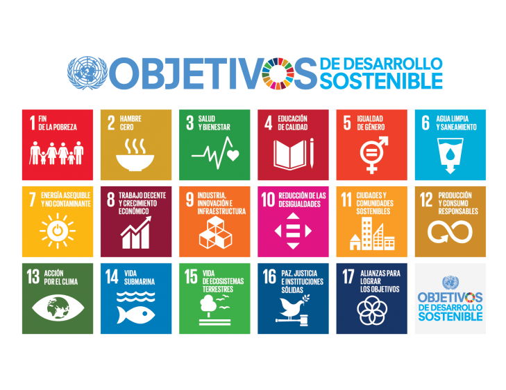 Las Bolsas de Valores y la Sostenibilidad