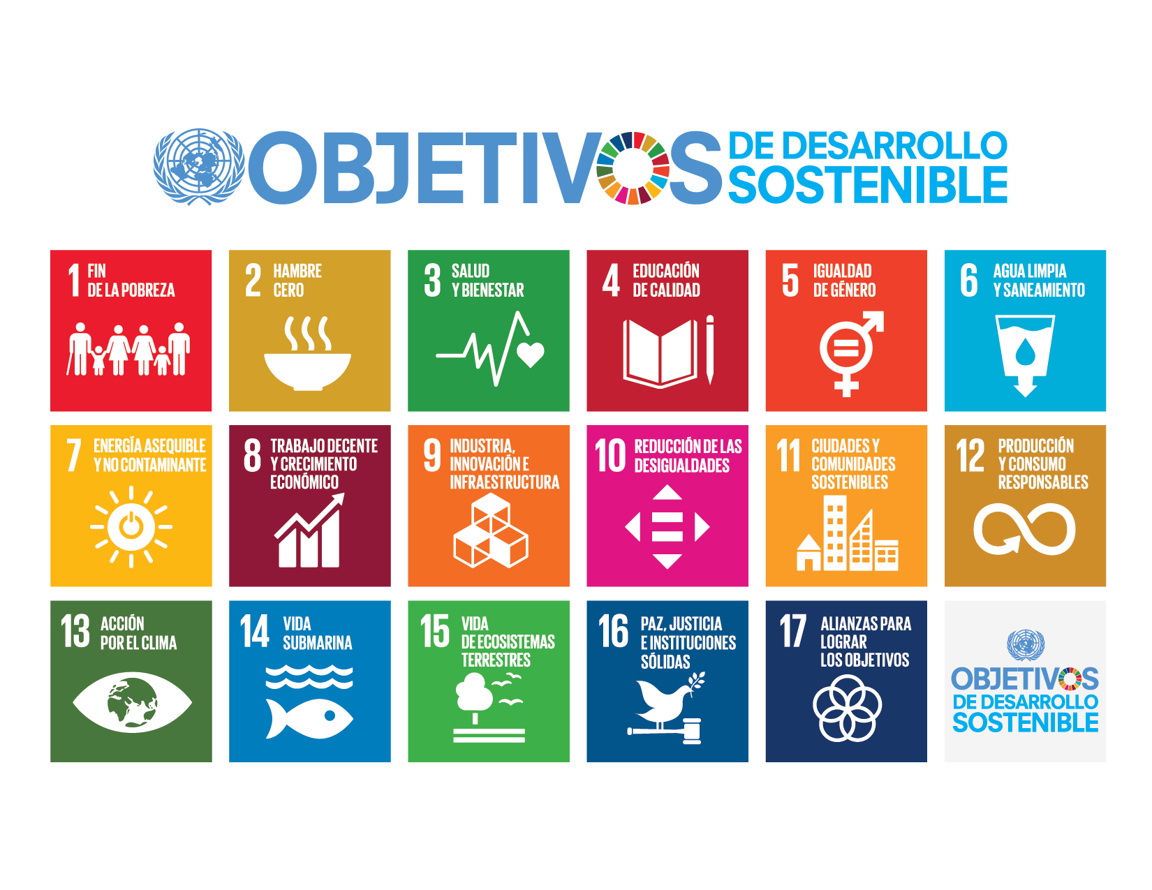 Las Bolsas de Valores y la Sostenibilidad