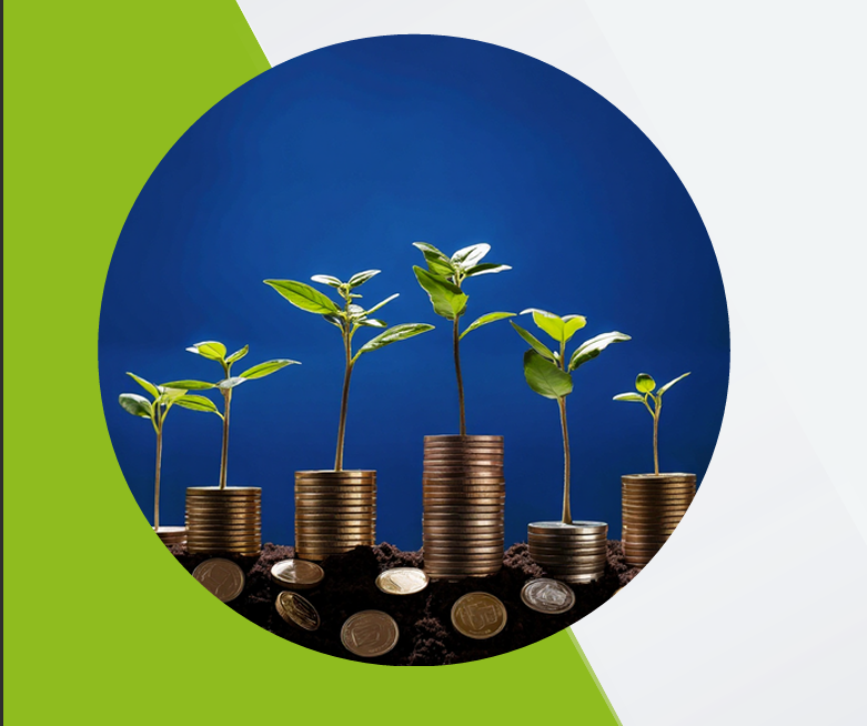El mercado de bonos temáticos en Argentina